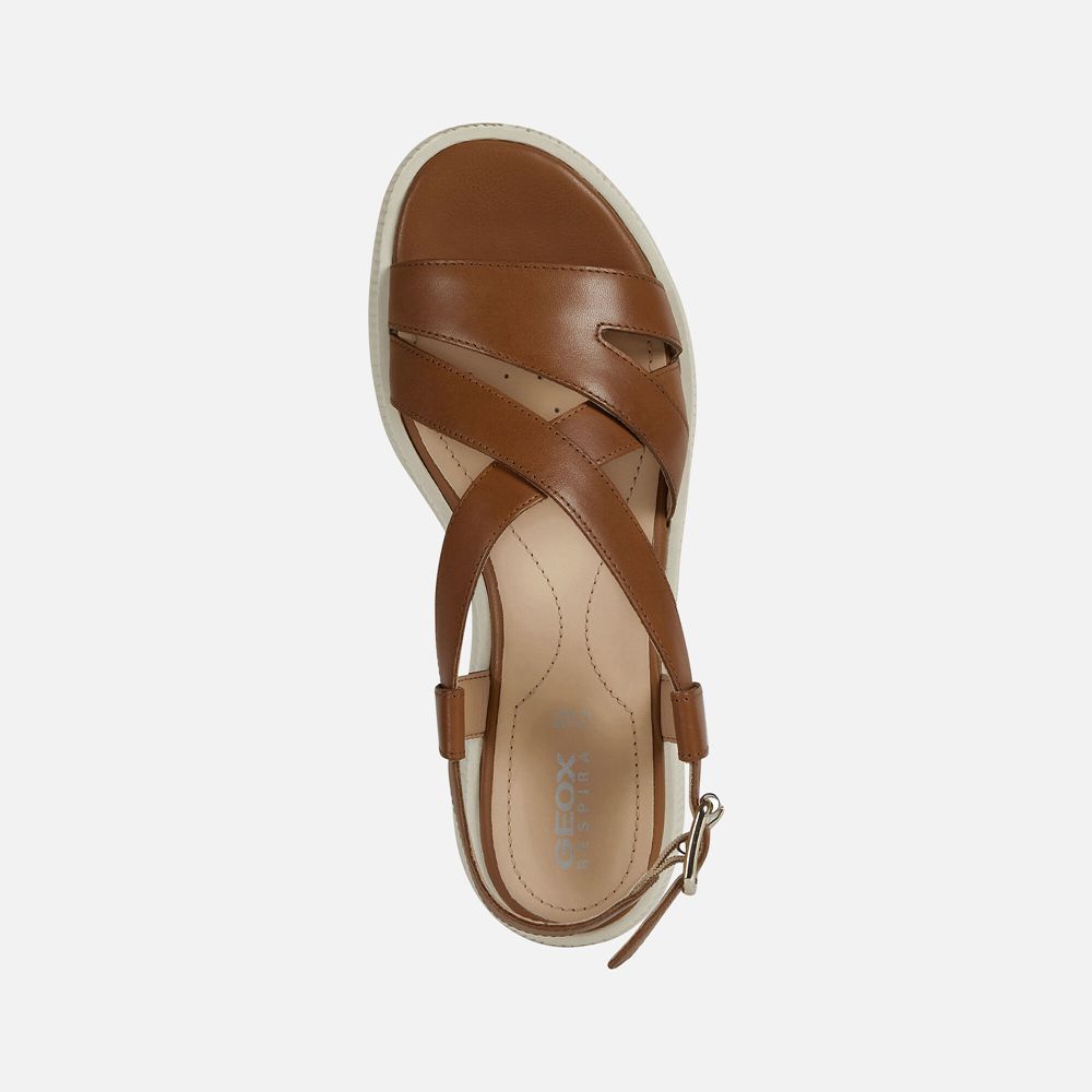 Geox Sandals Brown Taormina - Geox Womens Shoes - IDQUEB860